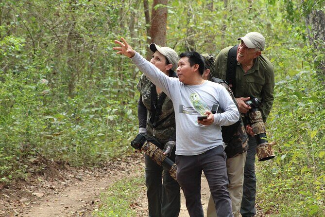 Xocen Birding - Gear, weather, and fitness: practical advice so you don’t rush