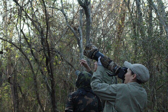 Xocen Birding - Price and value: what you’re paying for (and what you aren’t)