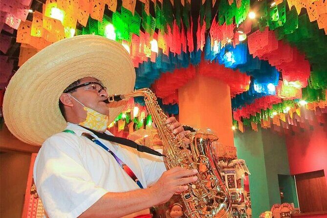 Xoximilco Tour Mexican Party Night! From Cancun & Playa Del Carmen - Transportation from Cancun and Playa del Carmen