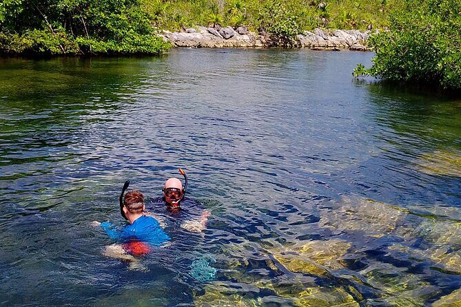 Yalku lagoon and turtles akumal sanctuary - Key things to know before you go
