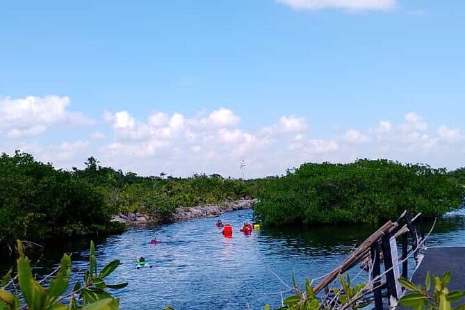 Yalku lagoon and turtles akumal sanctuary - Stop 1: Akumal Bay snorkeling over seagrass and reef