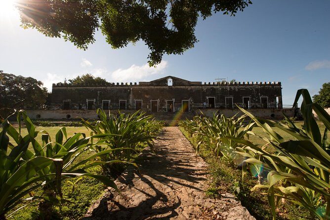Yaxcopoil Hacienda, Uxmal & Cenote from Merida - 7:40 am pickup in Mérida: how the day stays easy