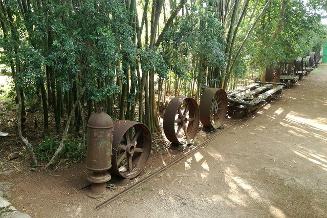 Yaxcopoil Hacienda, Uxmal & Cenote from Merida - Group size, guide quality, and why names matter