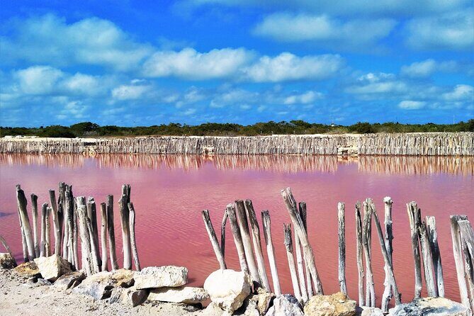 Yucatan Discovery: Motul, Hacienda, Pink Lake, Ruins & Progreso - Xcambó: Mayan ceremonial space in a mangrove setting