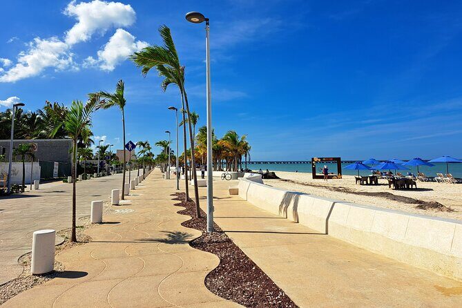 Yucatan Discovery: Motul, Hacienda, Pink Lake, Ruins & Progreso - Ixtampú salt mine: pink flats, flamingos, and the best photo light