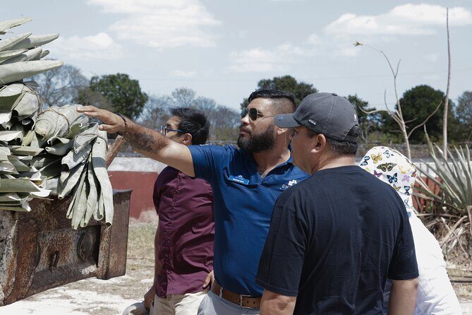 Yucatan Discovery: Motul, Hacienda, Pink Lake, Ruins & Progreso - English comfort and transport reality on a full group day