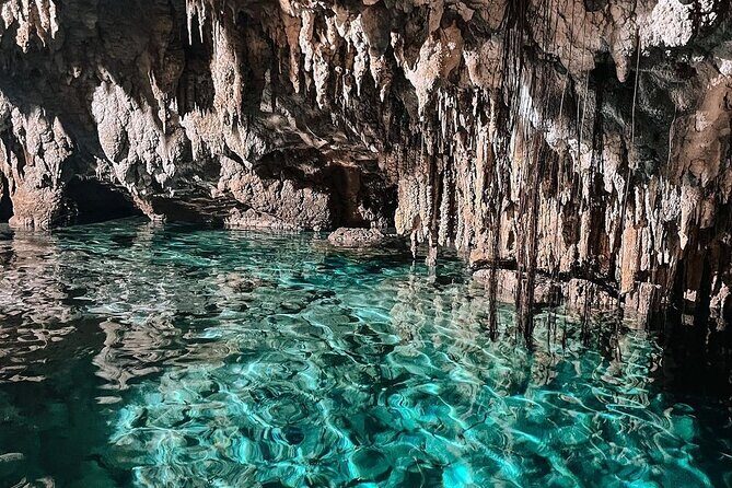 Zapote Cenotes Adventure Tour Prehistoric Park - Three cenotes, one smooth day in Puerto Morelos
